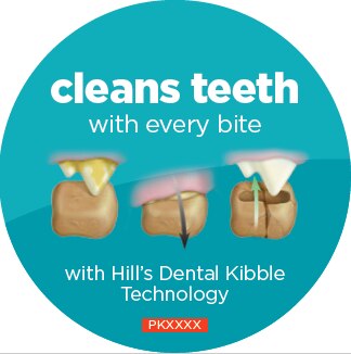 TECHNOLOGIA DENTAL KIBBLE
